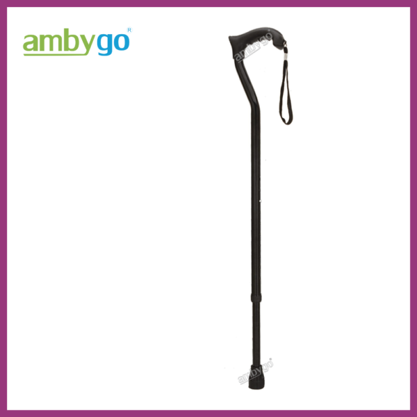 Walking Stick Single Leg