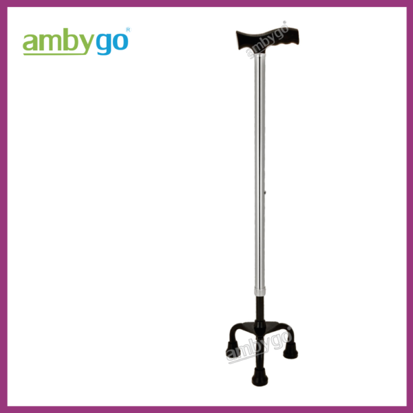 Walking Stick Tripod