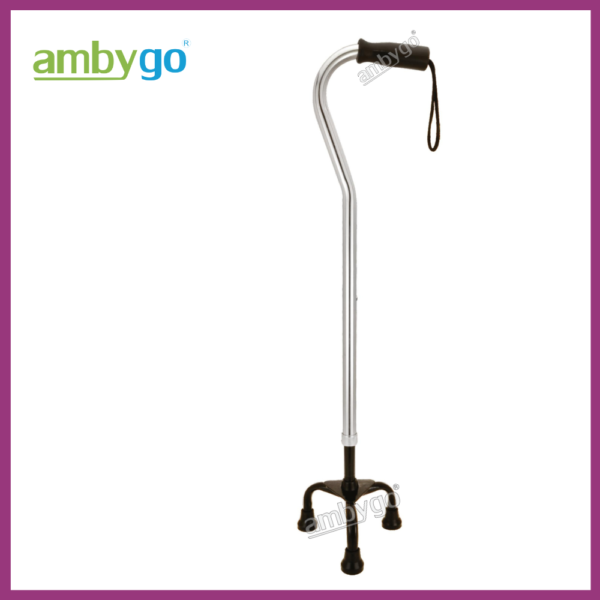 Walking Stick Tripod