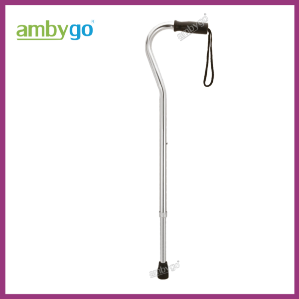 Walking Stick Single Leg