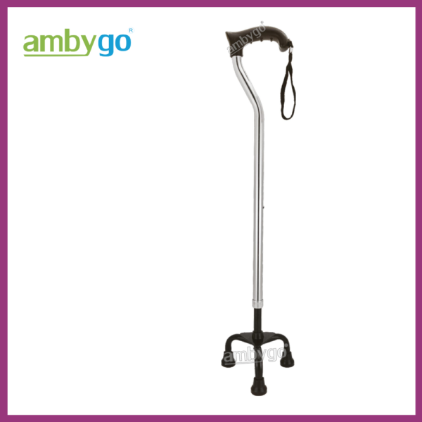 Walking Stick Tripod