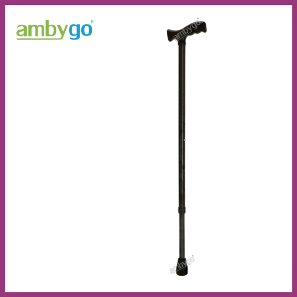 Walking Stick Single Leg